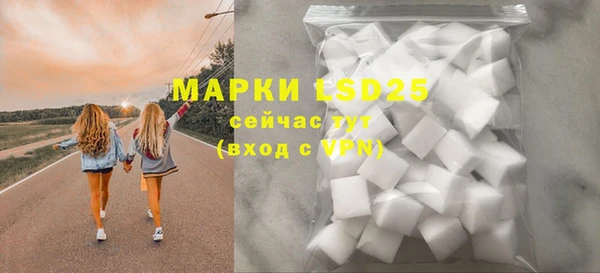 индика Коряжма