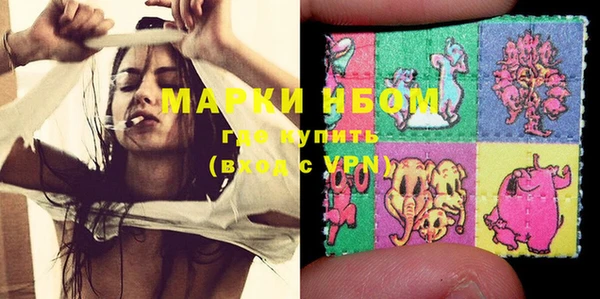 индика Коряжма