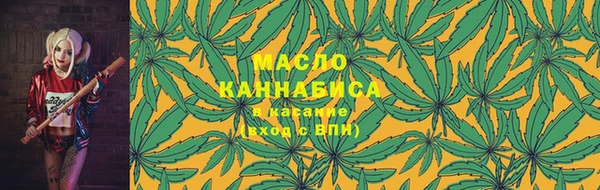 индика Коряжма