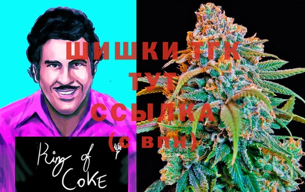 индика Коряжма