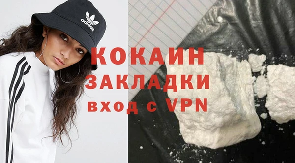 индика Коряжма