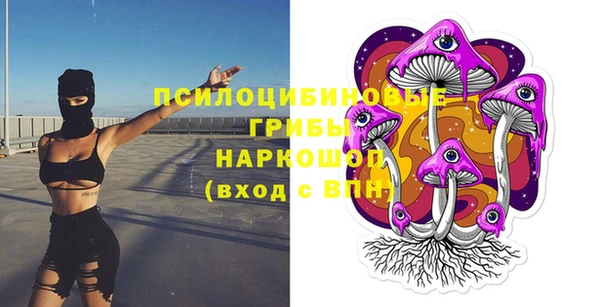 индика Коряжма