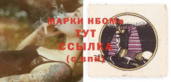 индика Коряжма