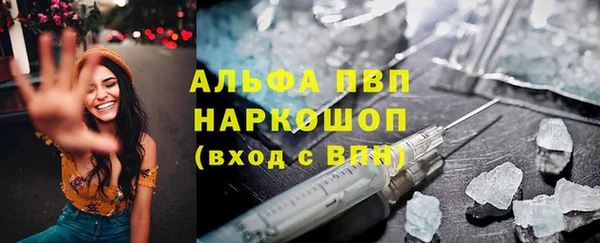 индика Коряжма