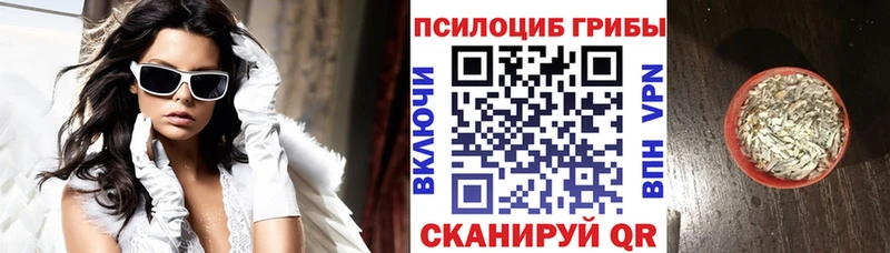 Псилоцибиновые грибы мухоморы  где купить наркоту  Тбилисская 